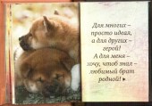 Брату 3